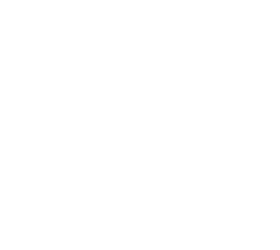 AF PARTNERS